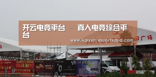 案例标题十