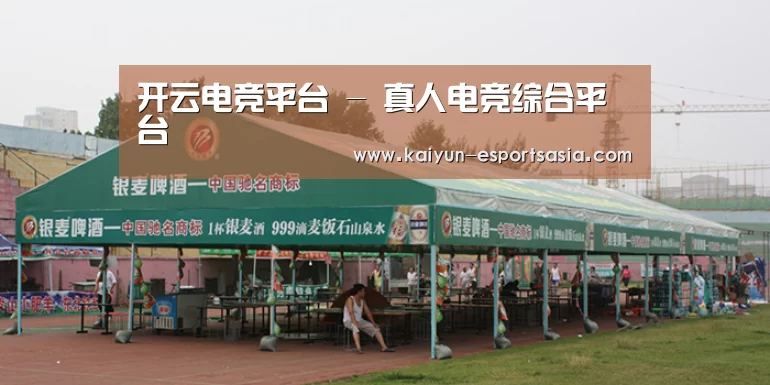 案例标题七
