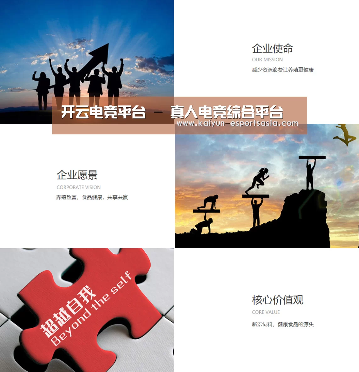 企业文化(图1)