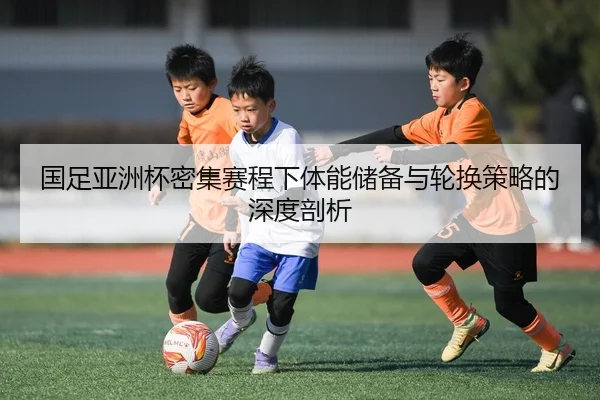 国足亚洲杯密集赛程下体能储备与轮换策略的深度剖析