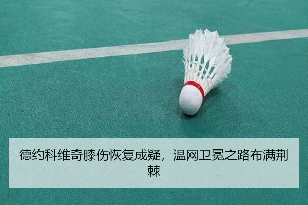 de-yue-ke-wei-qi-xi-shang-hui-fu-cheng-yi-wen-wang-wei-mian-zhi-lu-bu-man-jing-ji-2-464.jpg
