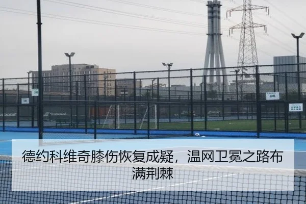 德约科维奇膝伤恢复成疑，温网卫冕之路布满荆棘