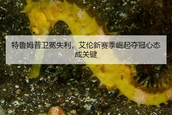te-lu-mu-pu-wei-mian-shi-li-ai-lun-xin-sai-ji-jue-qi-duo-guan-xin-tai-cheng-guan-jian-2-845.jpg