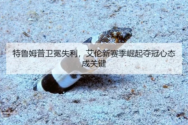 te-lu-mu-pu-wei-mian-shi-li-ai-lun-xin-sai-ji-jue-qi-duo-guan-xin-tai-cheng-guan-jian-3-402.jpg